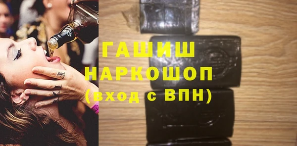 гашик Алексин
