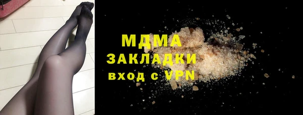 гашик Алексин