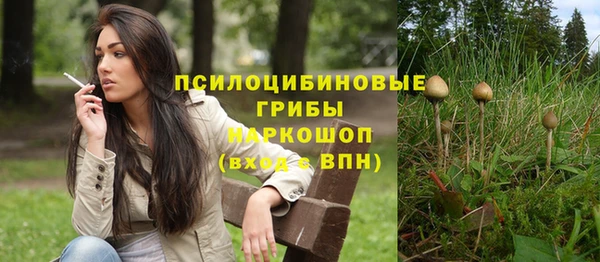 a pvp Абинск