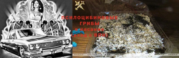 ГАЛЛЮЦИНОГЕННЫЕ ГРИБЫ Пересвет