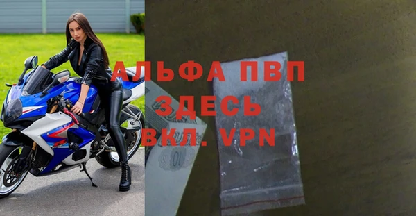 гашик Алексин