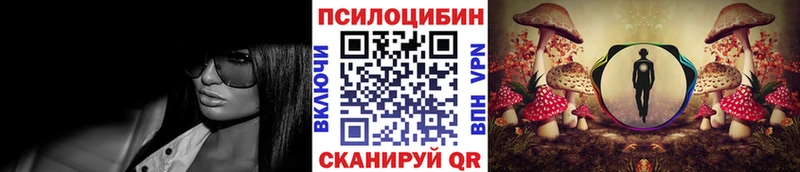 закладки  Талица  Псилоцибиновые грибы мицелий 